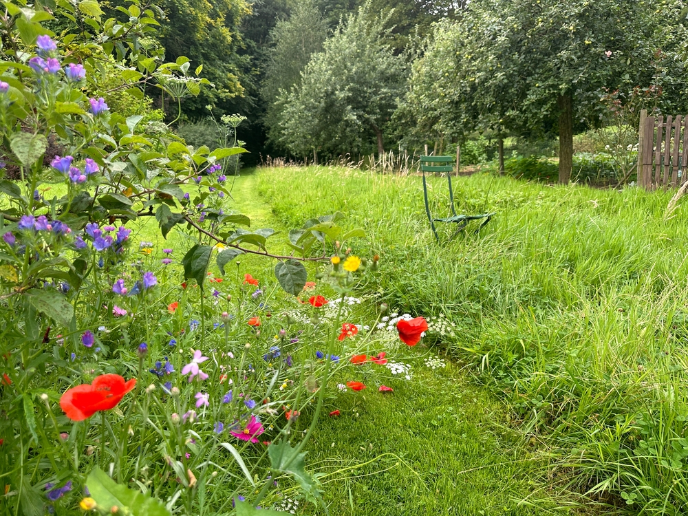 A low-maintenance garden with wildflowers and a rustic chair. An uncut lawn area has a green chair for decor. Meadow flowers bring color near the orchard. Jardin du Rossignol, France
