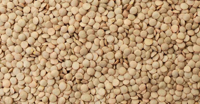 The Recession‑Proof Pantry List You Didn’t Know You Needed (Hint: Think Lentils, Rice & Beans) - Featured image