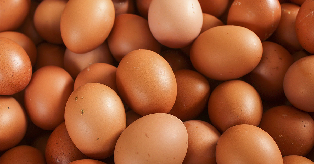 Don’t Buy Eggs Without Checking These 5 Things First