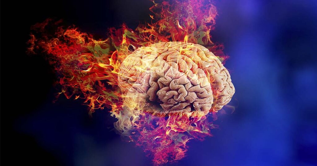 Rethinking Brain Power: How Fat Fuels Your Mind - Featured image