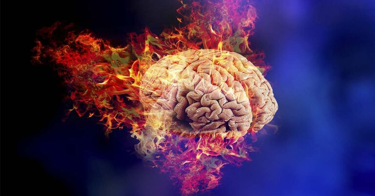 Rethinking Brain Power: How Fat Fuels Your Mind - Featured image