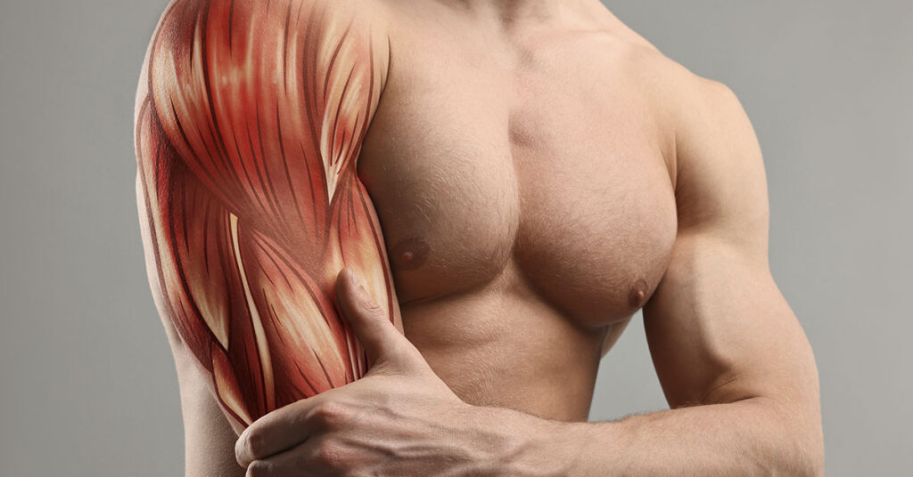 Lacking This Vitamin? It Could Lead to 70% Greater Loss of Muscle Strength - Featured image