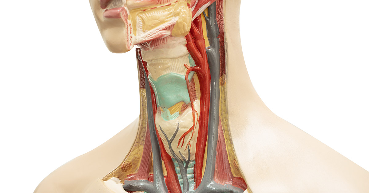 8 Risk Factors For Head and Neck Cancer That Aren’t Smoking