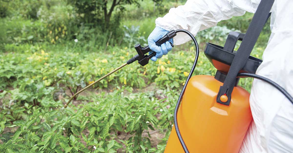 Study Warns Glyphosate Weedkiller May Be Linked to Liver Disease Epidemic