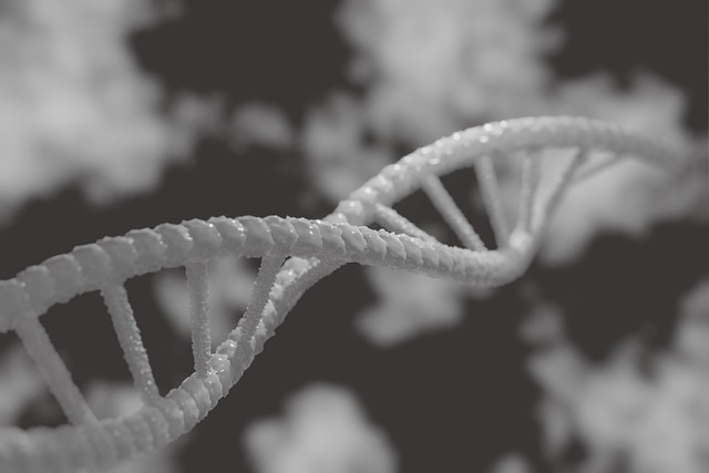 strand of DNA