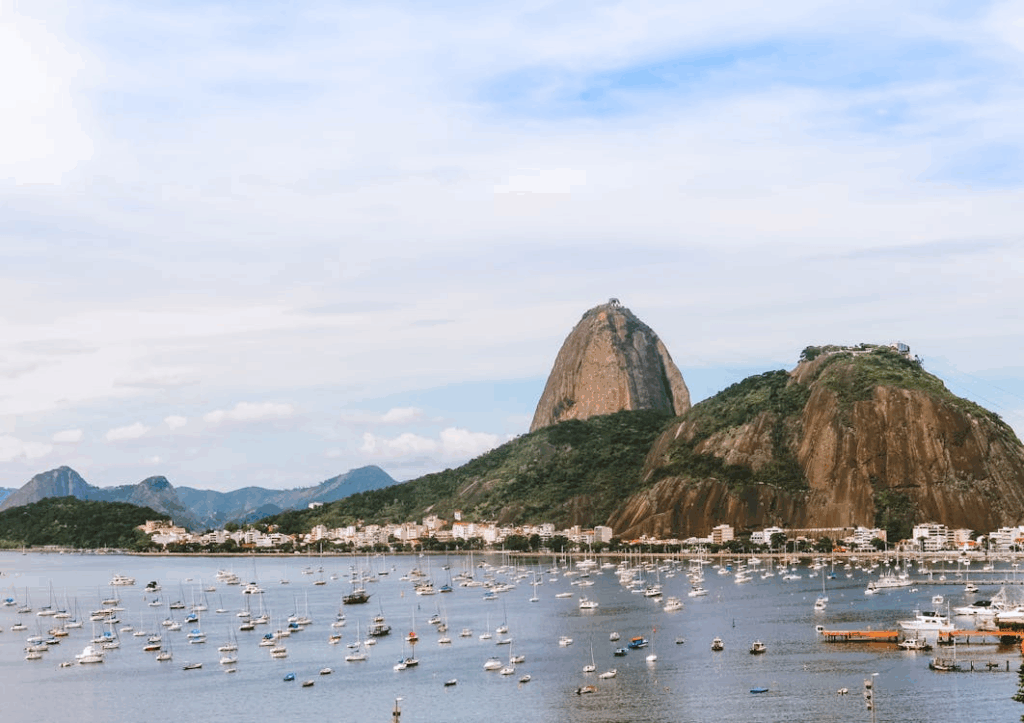 Brazil is the largest country in South America