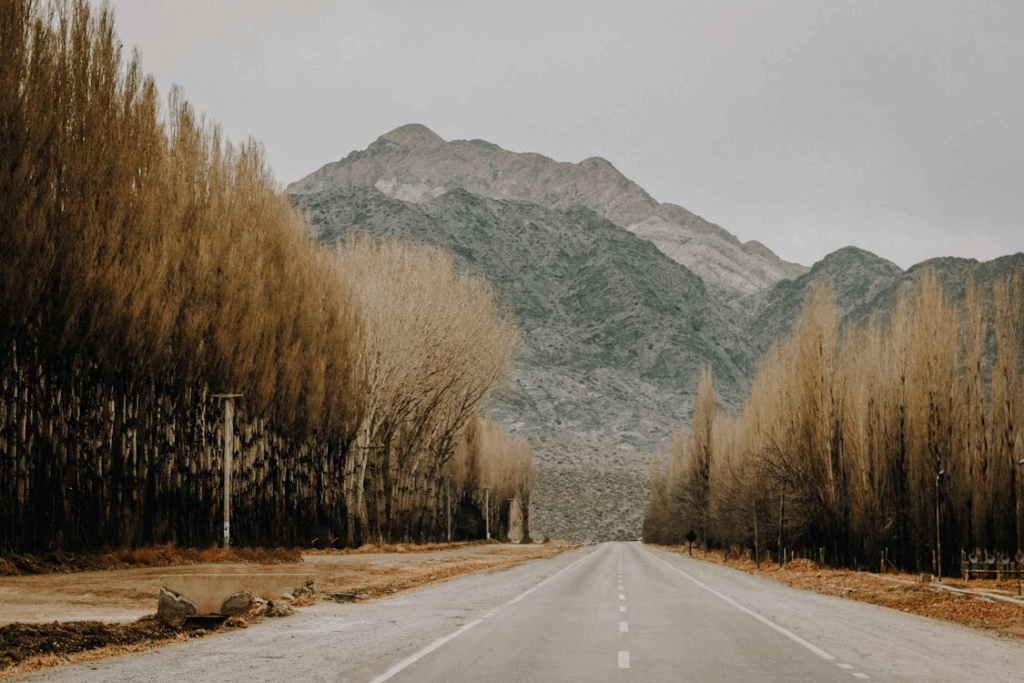 Argentina is one of the largest countries in South America