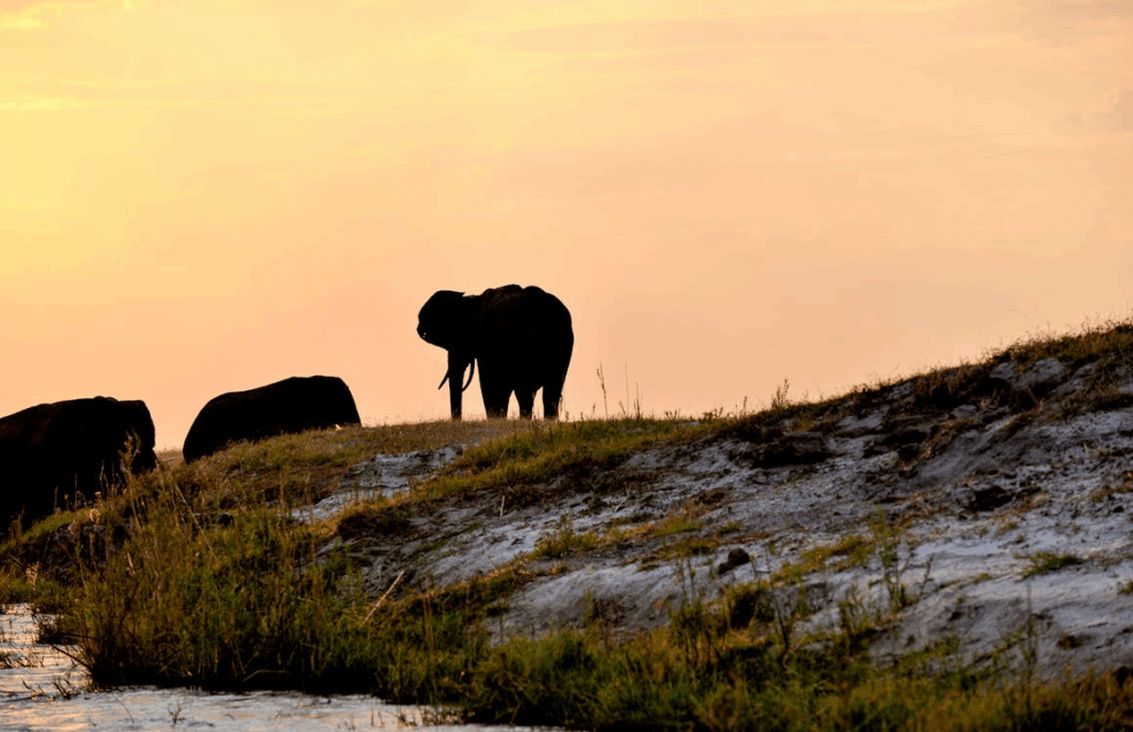 Botswana is a landlocked southern African country