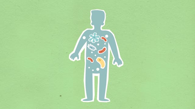 gut microbiome