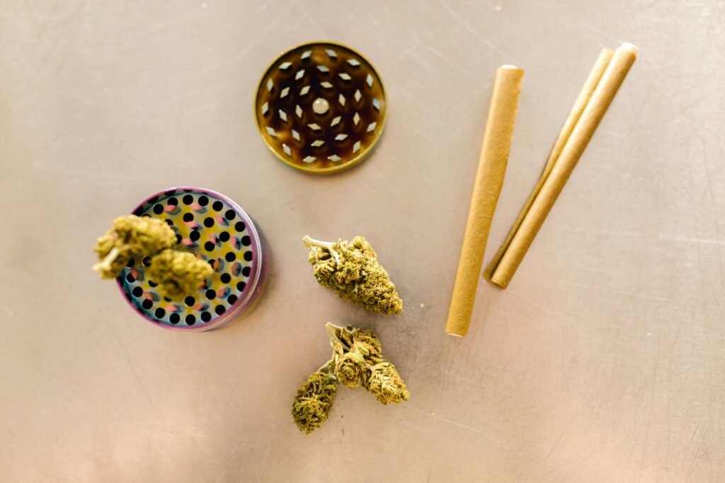 Still Life with a Cannabis Plant and Patterned Ceramic Plates
