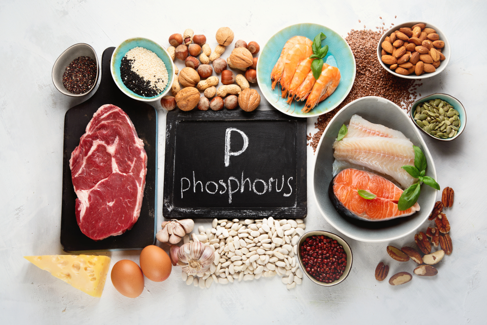 Foods highest in phosphorus. Healthy eating concept. Top view