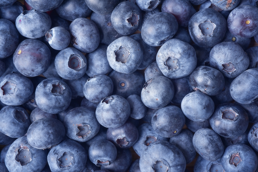 Close up photograph of fresh blueberries. Blueberries are a nutritious, delicious food. Healthy organic eating concept. Anthocyanin gives blueberries blue colour and health benefits. Background.
