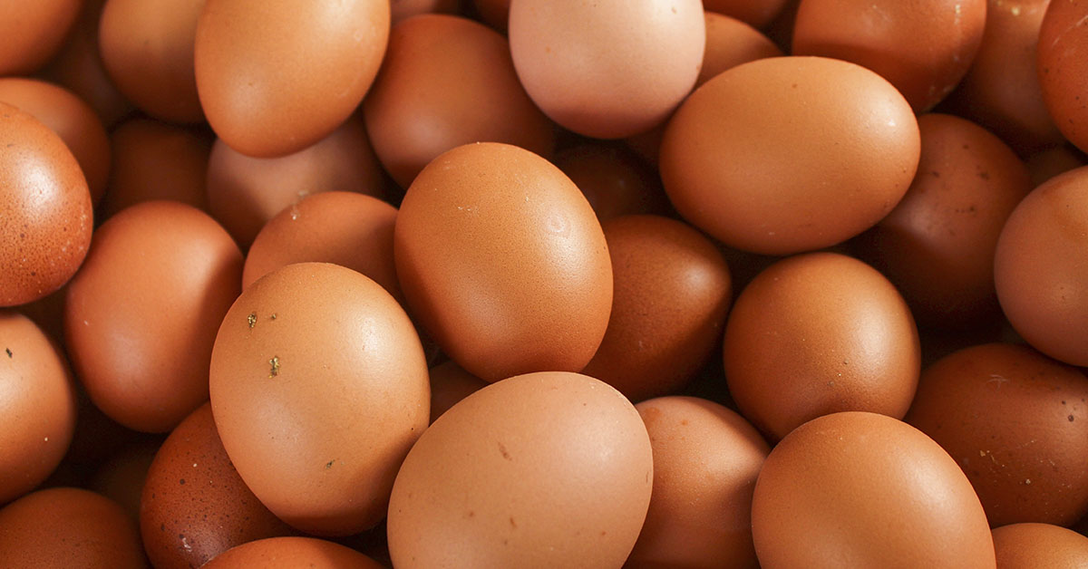 Salmonella Outbreak Across Multiple States Tied to Egg Recall, CDC Reports