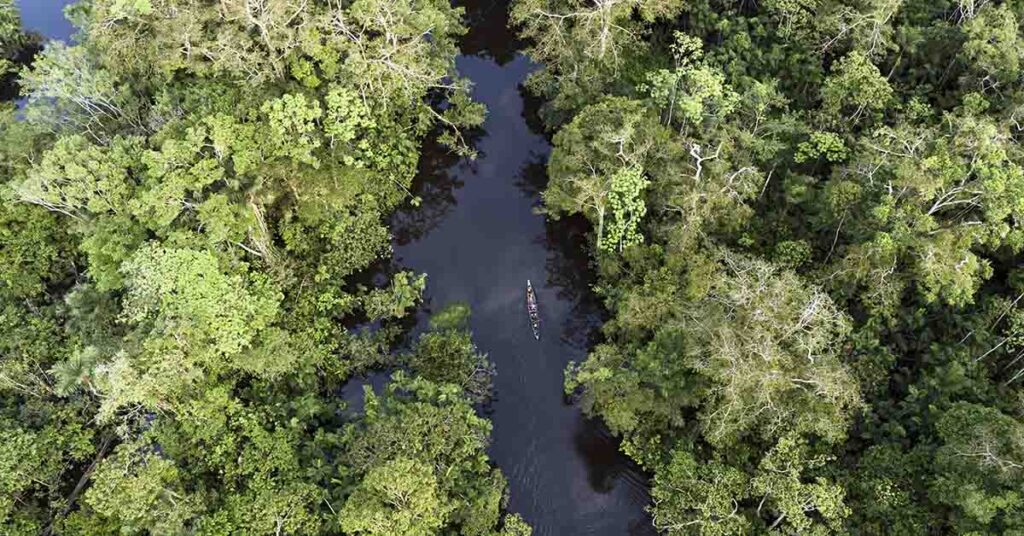 Isolated Amazon Tribe Spotted Near Village as Logging Encroaches, Experts Raise Alarm - Featured image