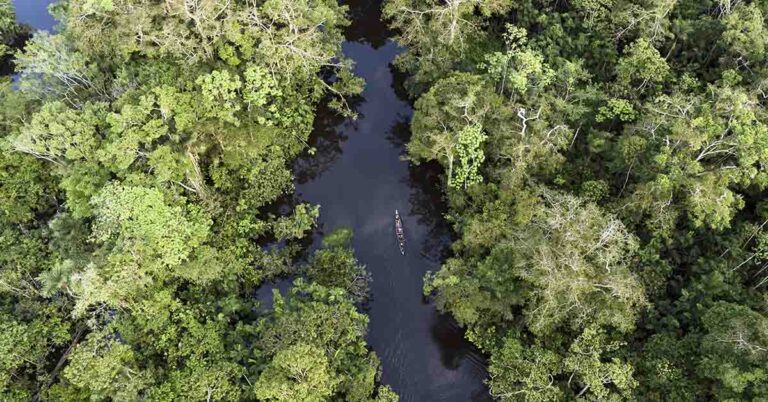 Isolated Amazon Tribe Spotted Near Village as Logging Encroaches, Experts Raise Alarm - Featured image