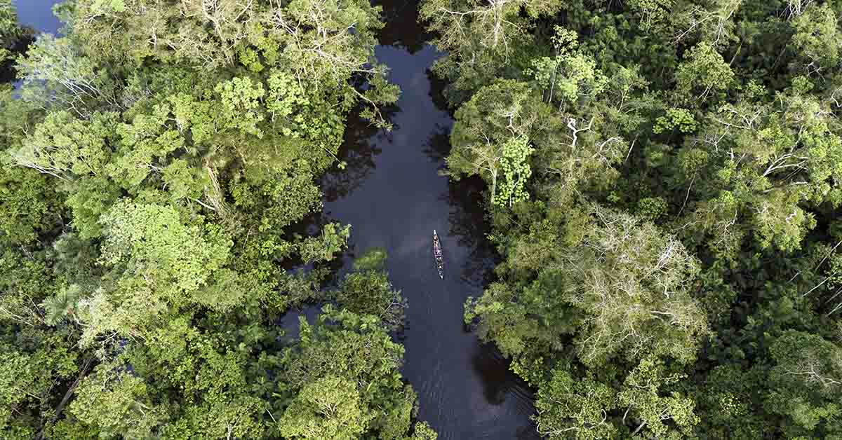 Isolated Amazon Tribe Spotted Near Village as Logging Encroaches, Experts Raise Alarm