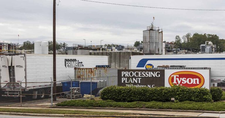 Tyson Foods Cuts Corn Syrup and Additives from Fan-Favorite Products - Featured image