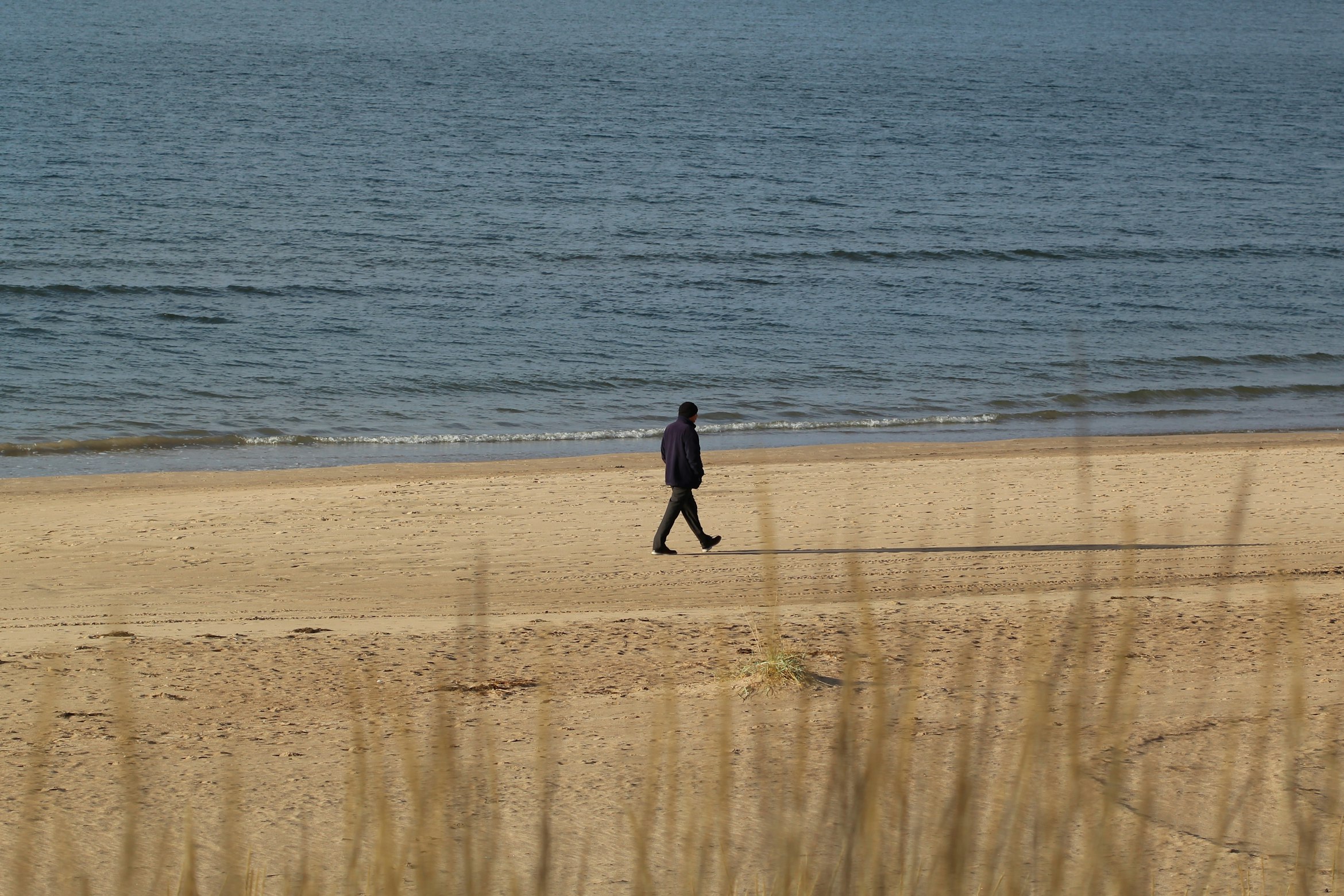 person walking on beach alone