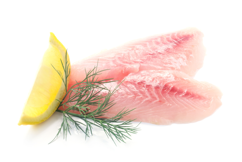 Two Red Snapper Fillets Isolated On White