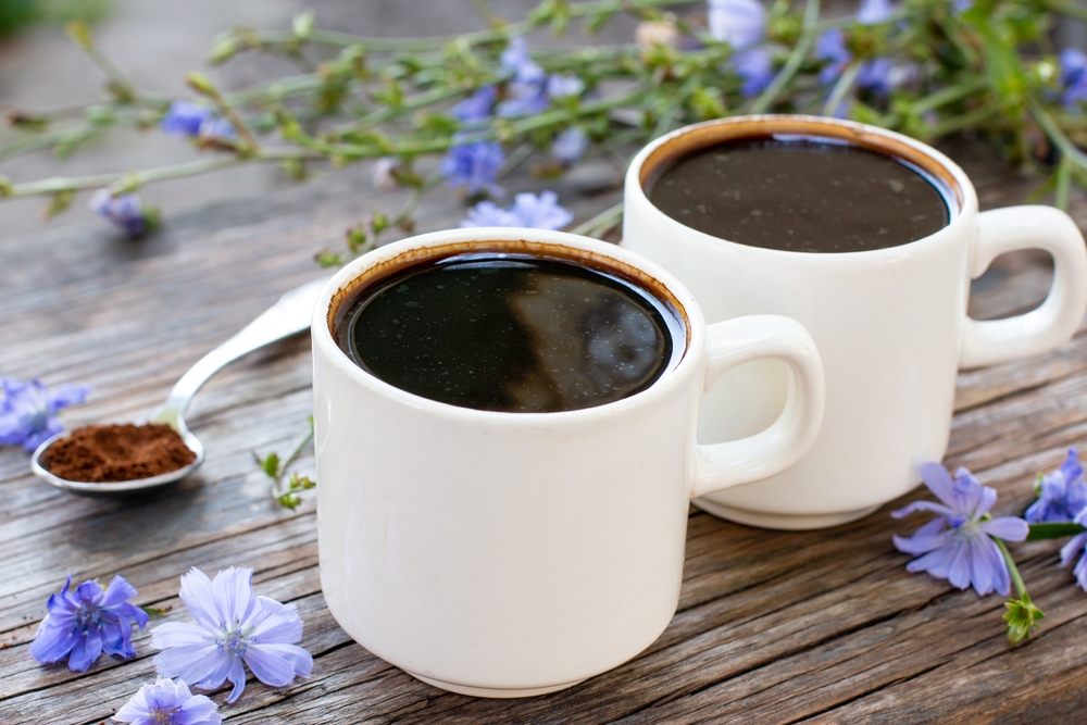 Diet drink chicory in a cup - coffee substitutes, powder and fowers. Herbal beverage. Selective focus