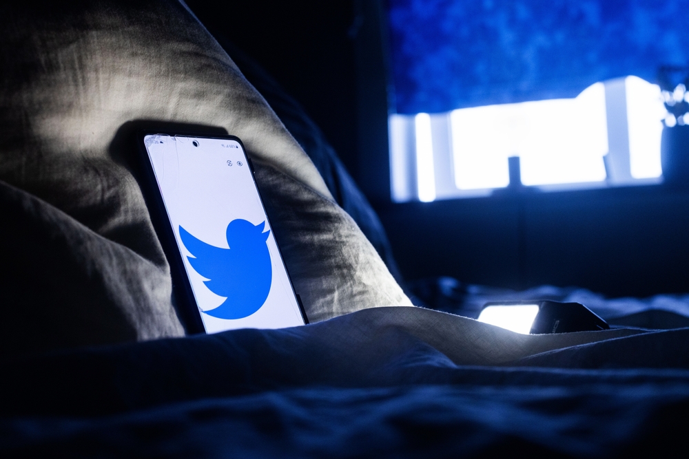MOTALA, SWEDEN- 23 JULY 2023:
Will Twitter's bird be sleeping soon? Elon Musk writes on social media that the Twitter bird will be replaced with a new logo and the name will be replaced with "X".