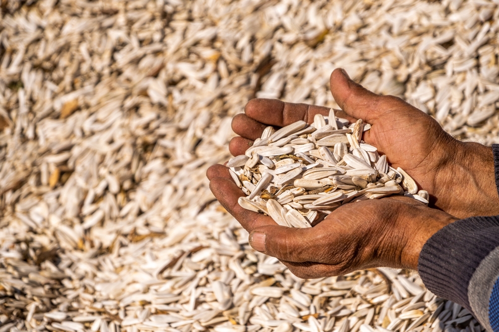 11 Muscle-Building, Fat-Burning Superfoods You Should Add Now