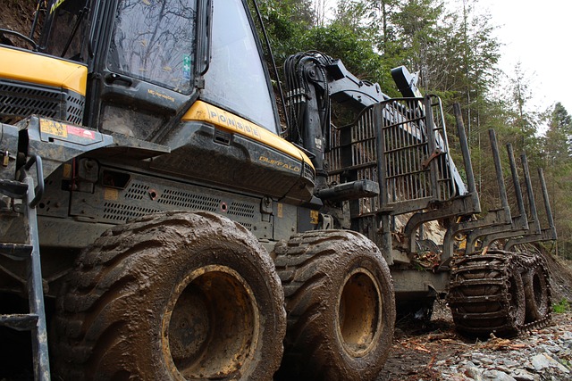 loggers