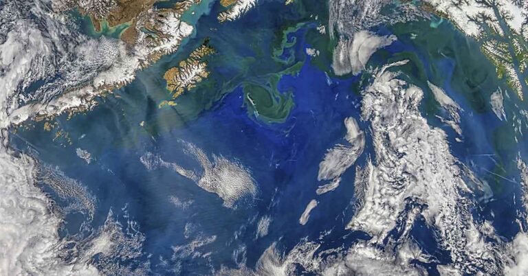 Scientists Say Gulf Stream May Be Near Collapse, Here’s Why That’s Dire for the Planet - Featured image