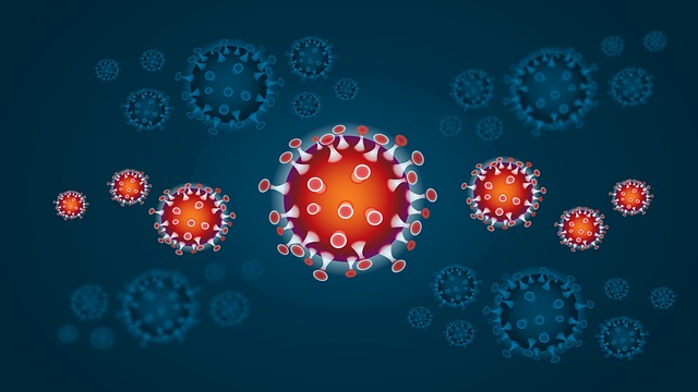 infection in the body