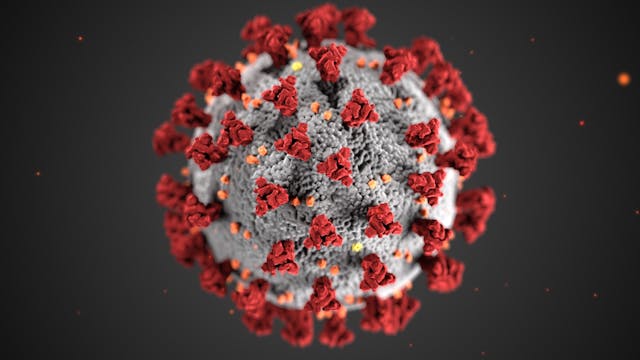 COVID virus