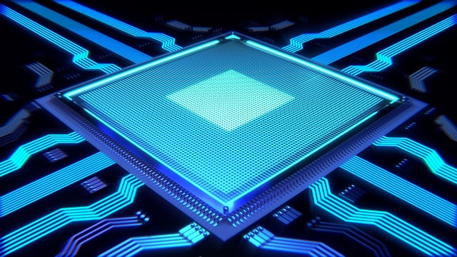 a microchip