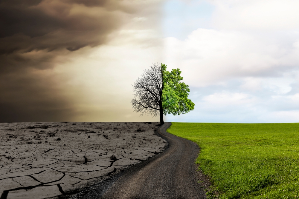 Change from dry climate to fertile climate