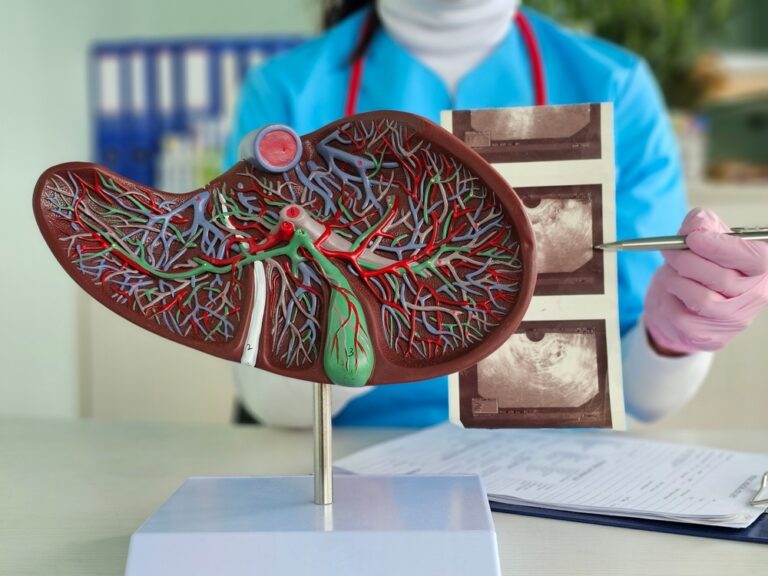 Fatty Liver May Be a Hidden Warning Sign for Future Heart Disease - Featured image