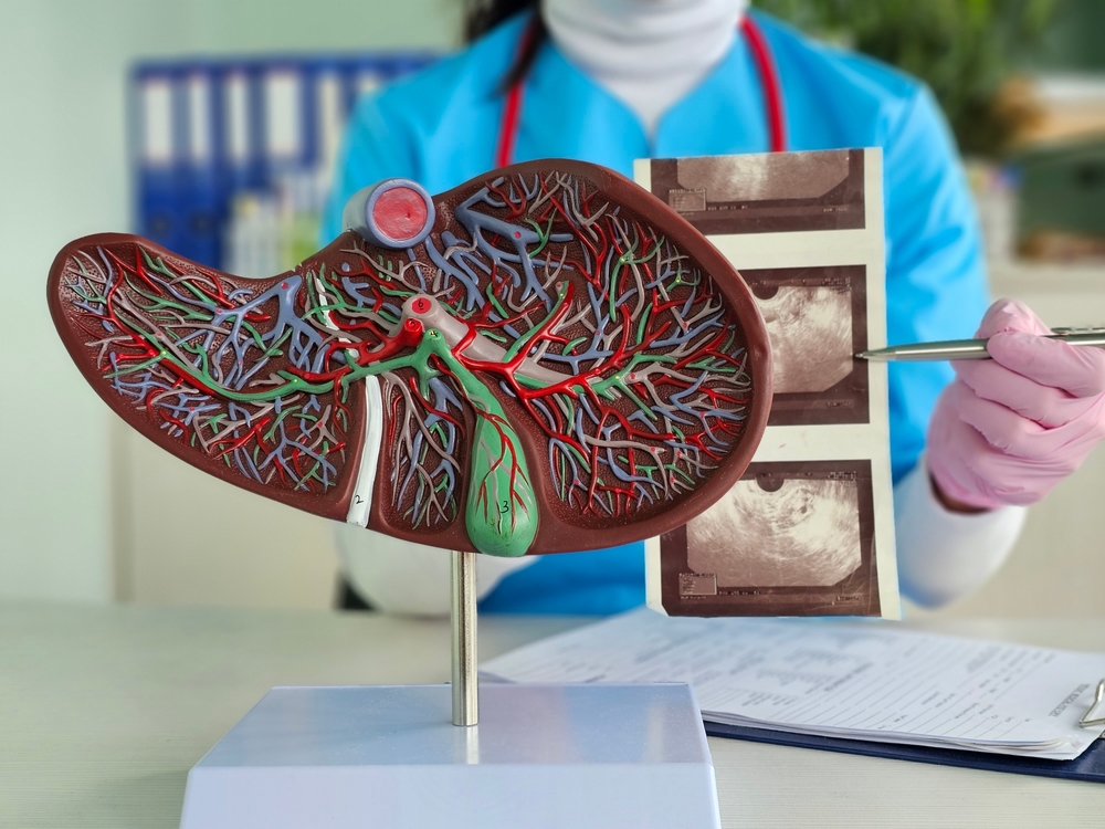 Fatty Liver May Be a Hidden Warning Sign for Future Heart Disease - Featured image