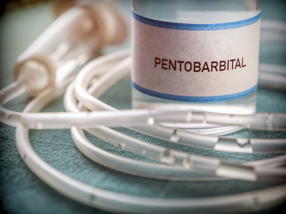  Vial With Pentobarbital Used For Euthanasia And Lethal Inyection In A Hospital