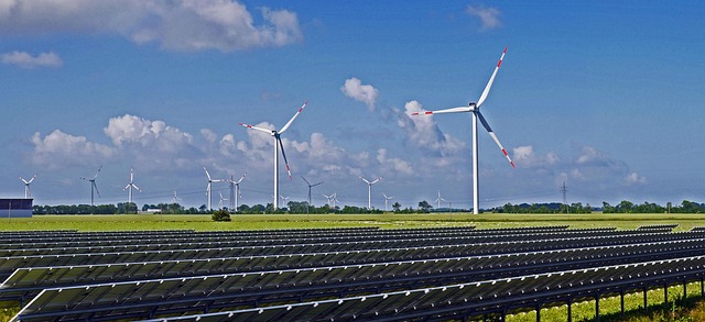 a solar farm