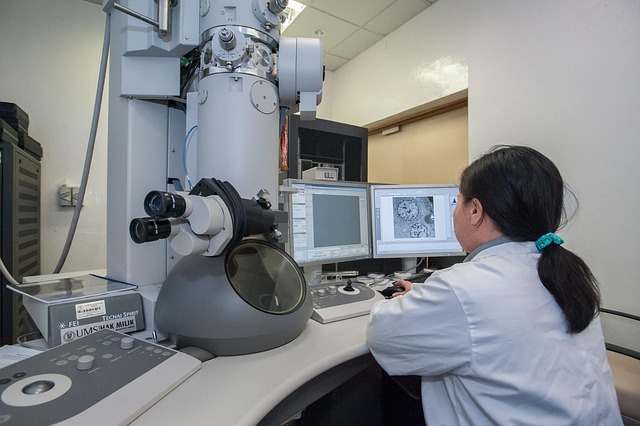 a researcher in the lab