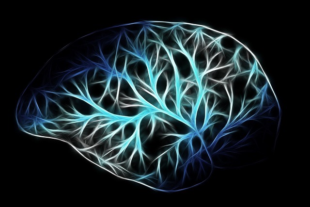 brain electrical activity