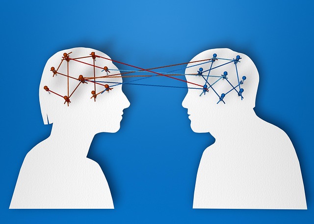 two brains connected