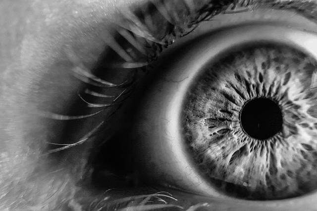 close up og black and white eye