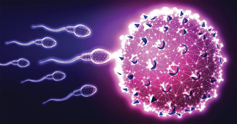 When Sperm Meets Egg: Scientists Observe a Flash Signaling Life - Featured image