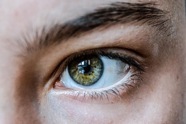 close up of an eye