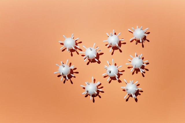 virus