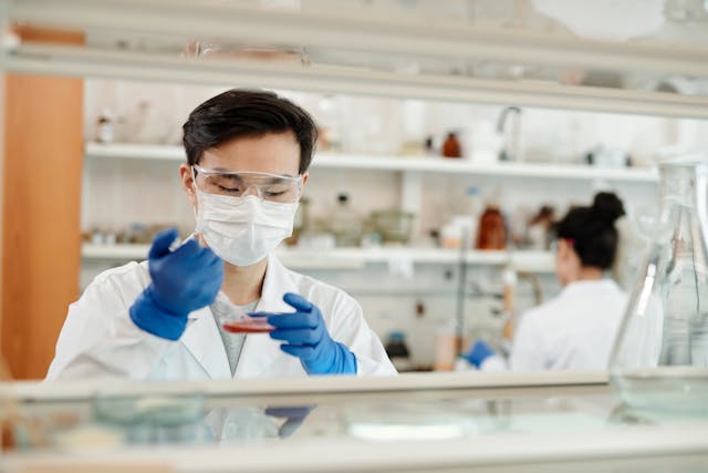 Researcher working with petri dish