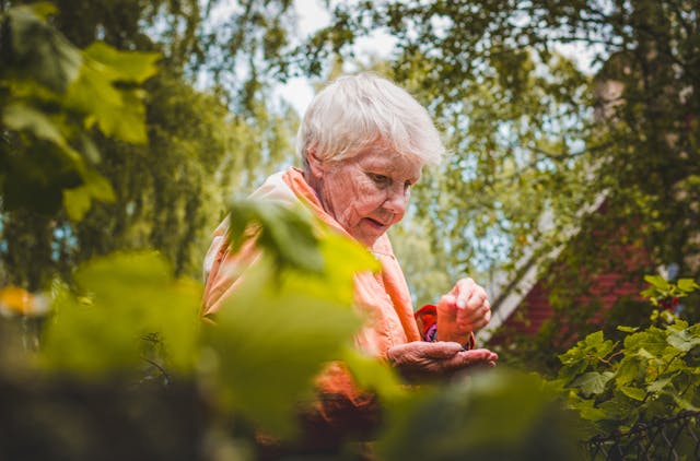 Elderly woman in a park