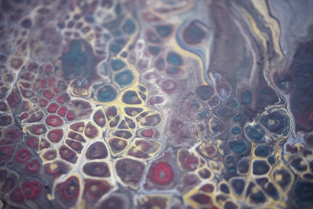 cell illustration