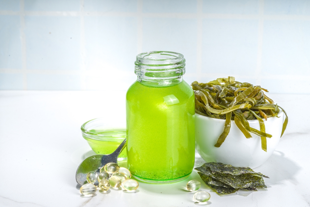 Algae based Oil, Seaweed alternative vegan oil, monounsaturated healthy fat ingredient with Algae Seaweeds