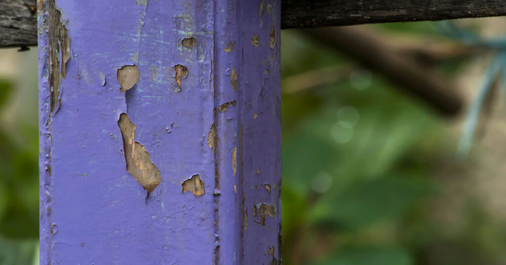 If You See a Painted Purple Fence, This Is What It Means - Featured image