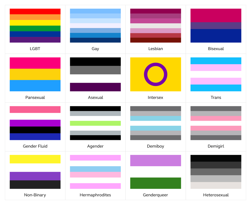 A chart showing 16 different pride flags arranged in a grid. Each flag is labeled: LGBT (rainbow), Gay (blue tones), Lesbian (orange and pink stripes), Bisexual (pink, purple, and blue), Pansexual (pink, yellow, and blue), Asexual (black, gray, white, and purple), Intersex (yellow with a purple circle), Trans (blue, pink, and white), Gender Fluid (pink, white, purple, black, and blue), Agender (black, gray, white, and green), Demiboy (gray, white, and blue), Demigirl (gray, white, and pink), Non-Binary (yellow, white, purple, and black), Hermaphrodites (pink, blue, and purple gradient), Genderqueer (purple, white, and green), and Heterosexual (black, gray, and white).