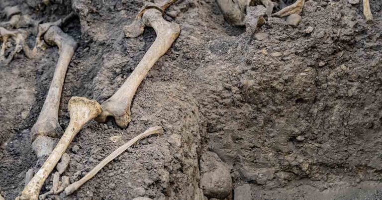 Skeleton Once Identified as Britain’s ‘Earliest Black Briton’ Was Actually White, Researchers Say - Featured image